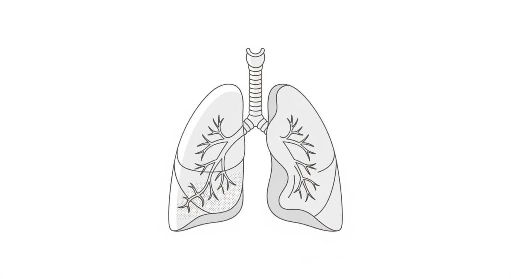 Idiopathic Pulmonary Fibrosis (IPF) showing lung scarring and reduced airflow
