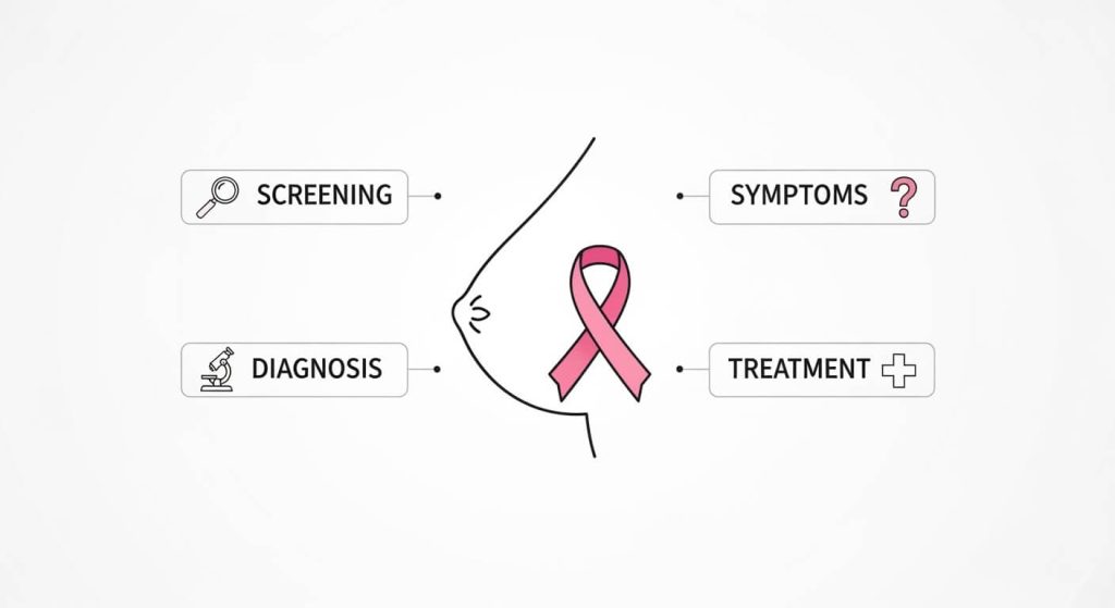 breast cancer infographic showing screening, diagnosis, symptoms, and treatment options